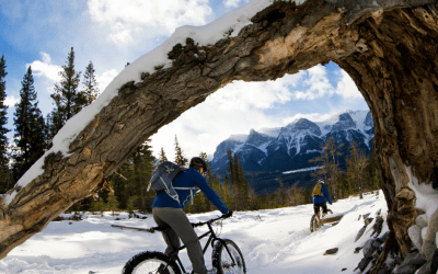Fat Bikes – A New Way to Have Fun in the Snow!